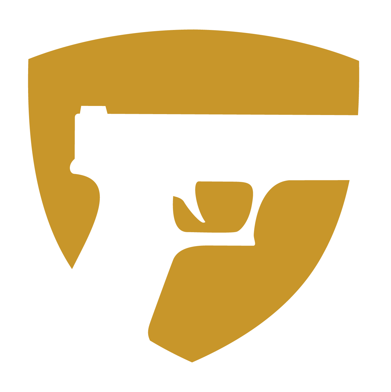 GunVault